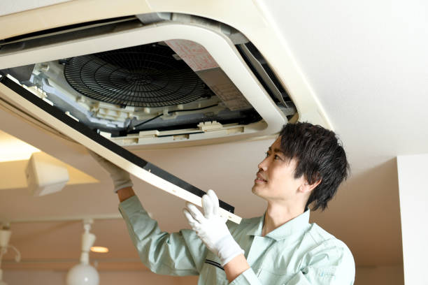 Best General Air Duct Cleaning  in Carlisle, IA