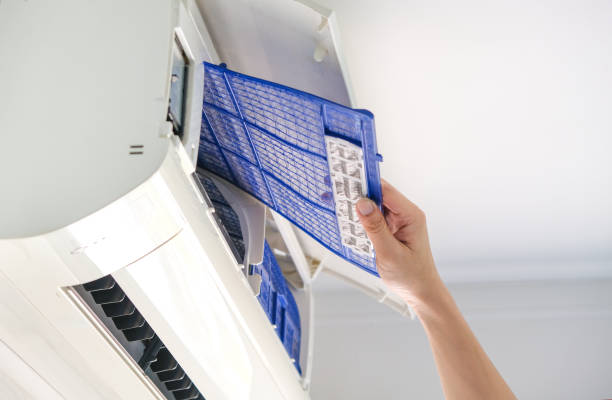 Best Professional Duct Cleaning Services  in Carlisle, IA