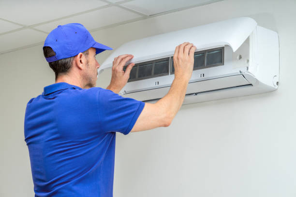 Best Affordable HVAC Duct Cleaning  in Carlisle, IA
