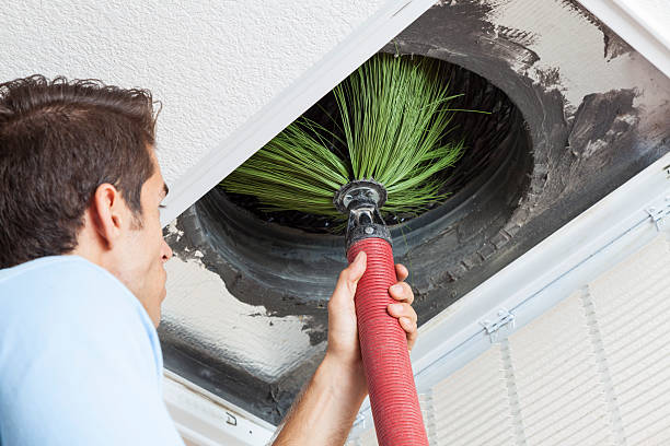Best Best Air Duct Cleaning Company  in Carlisle, IA
